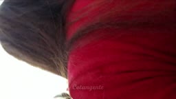 Chikan Pleasures - Cum on Teen