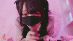 お気に入り