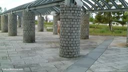 Qin's