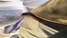 Encoxada 4