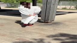 野外散歩