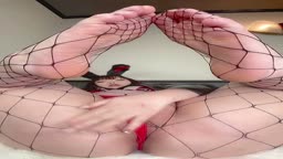 bunny