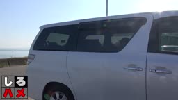 しろはめ野外2