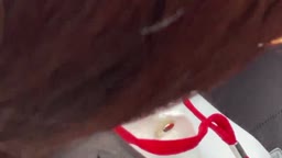 むねちら