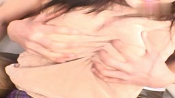 琴