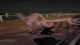 野外