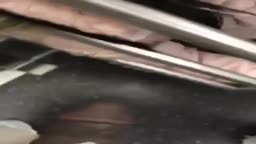 public dick flash