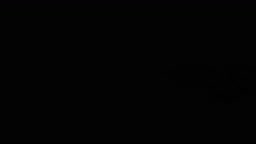 オリジナル