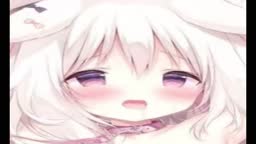 sio8