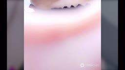 ライブチャット