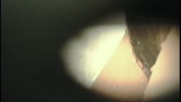 SY_しゃわー 07_8.mp