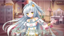 シロタエギク