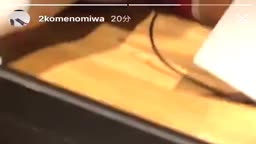 miwa