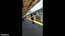 鷺