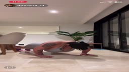 Daniela Pereira