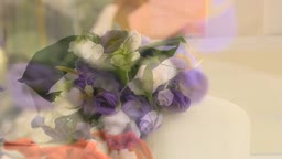 花鳥風月６