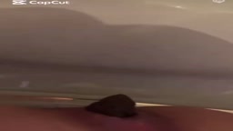 通話中うんち　顔ｱﾘ