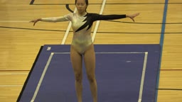 体操競技会