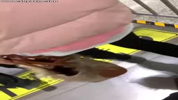 encoxada cum