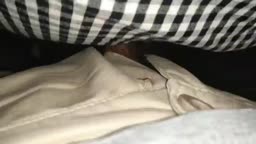 encoxada cum