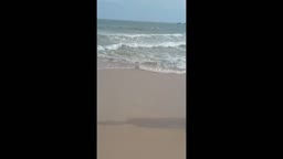 海岸で