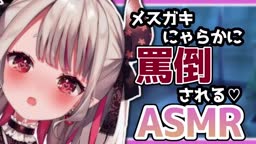 nrkドMな人間ちゃんたちを罵ってあげる