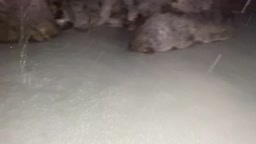 温泉　紹介