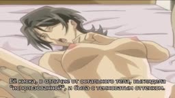 山姫4