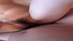 剛毛