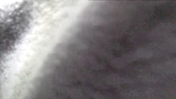 真・玄人痴031