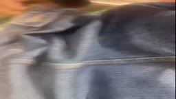 Encoxada 20