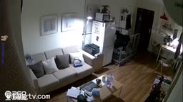 IPCAM Video 7