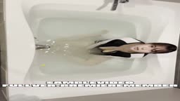 Fu