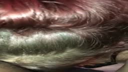 Bad