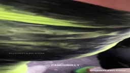Candidbully