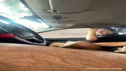 Dickflash