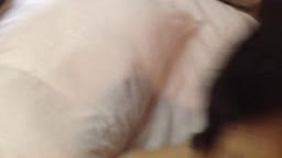 関西女フェラ　顔射2