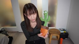 踊るサボ●ン人形挿れたらたら気持ちいい説を検証し