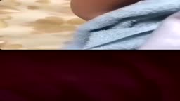 ここちゃん