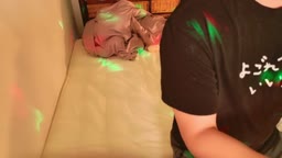 パフォーマー配信