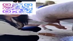 閲覧注意　豚