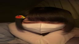 泡沫凪