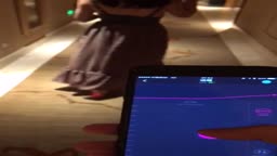 遠隔