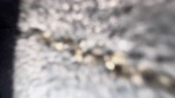 F7