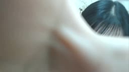 ネットの無料動画