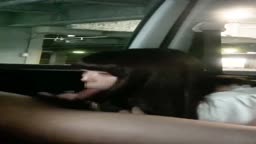 雨　車内