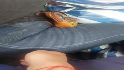 Torta Touch Bus