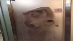 お風呂で