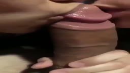 練乳舐め