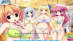 ハーレム 01